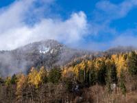 Nebelschleier ziehen über leuchtende Lärchen dahin - Mittleres Priental